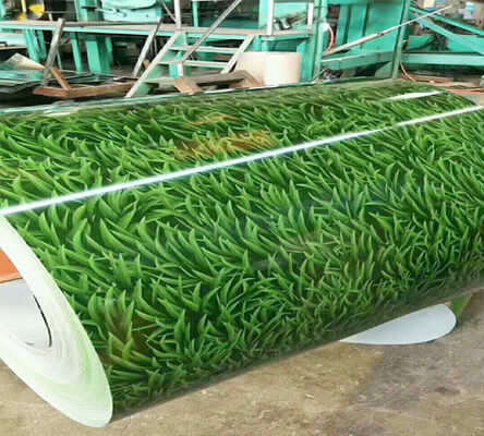 Cold Rolled SPCC Grade PPGI Steel Coil with RAL Color Options for Roofing and Construction